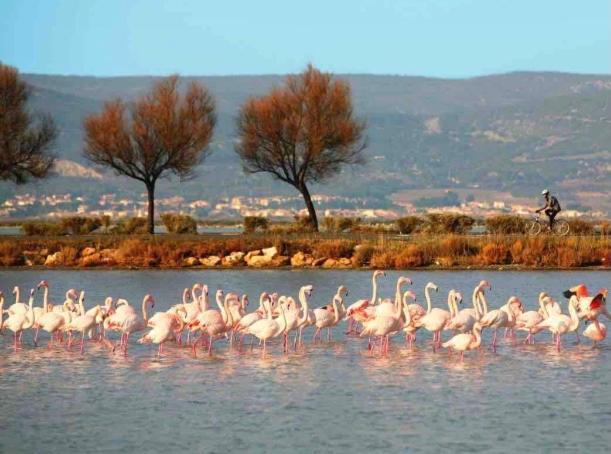 Le Nautica Plage T2 Climatise En Bord De Mer Фронтиньян Экстерьер фото